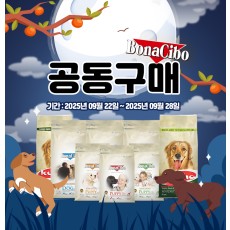 보나시보 할인 공구